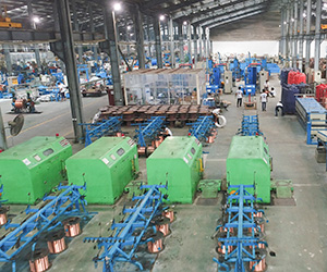 1dc3a-product_plant_01.jpg