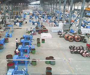 3041b-product_plant_03.jpg