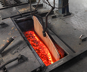 6ee89-product_plant_05.jpg