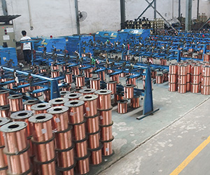 b7131-product_plant_08.jpg